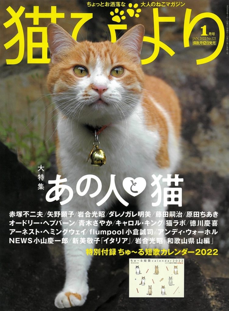 『猫びより』2022年1月号表紙